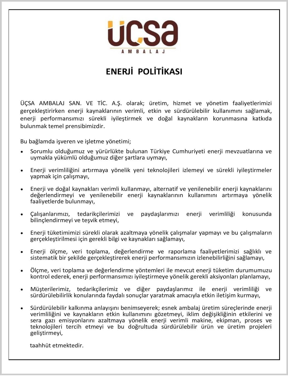 enerji politikasi